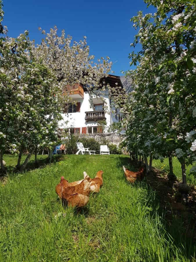 Ferienwohnung Lafreid Algund Lagundo Exterior foto